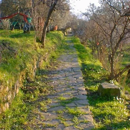 Il Vecchio Casale