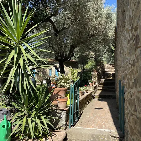 Il Vecchio Casale Gospodarstwo wiejskie